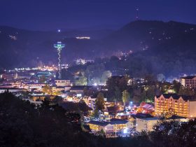 A view of a city at night