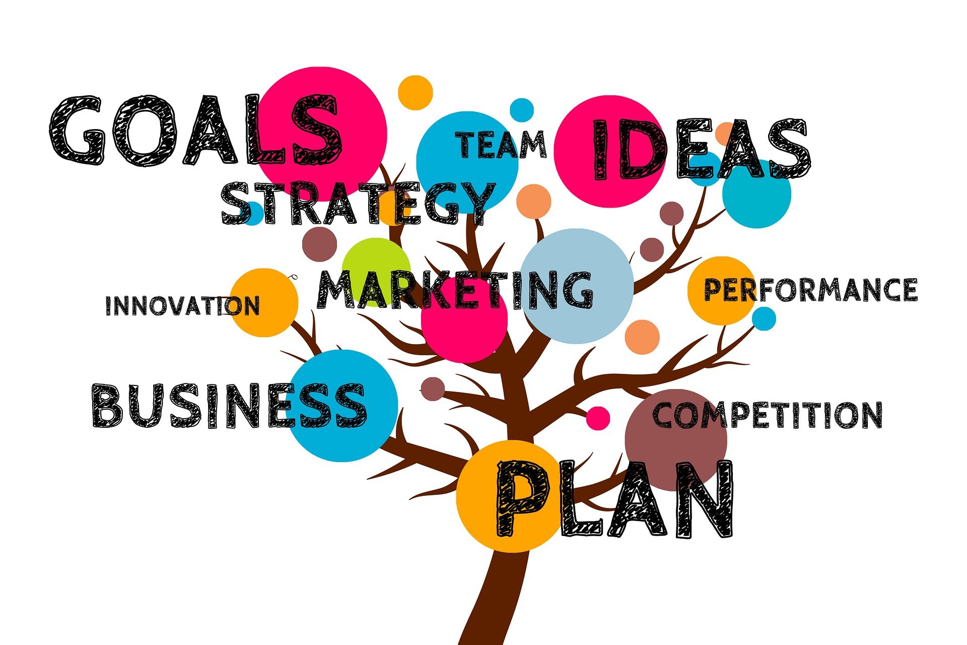 Business Plan Tree Growth Grow Concepts Economy