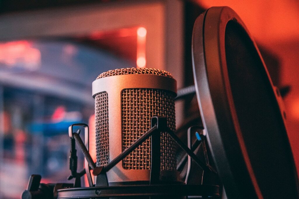 Microphone Voice Sound Equipment Tool Performer
