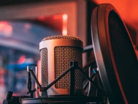 Microphone Voice Sound Equipment Tool Performer