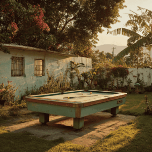 shuffleboard